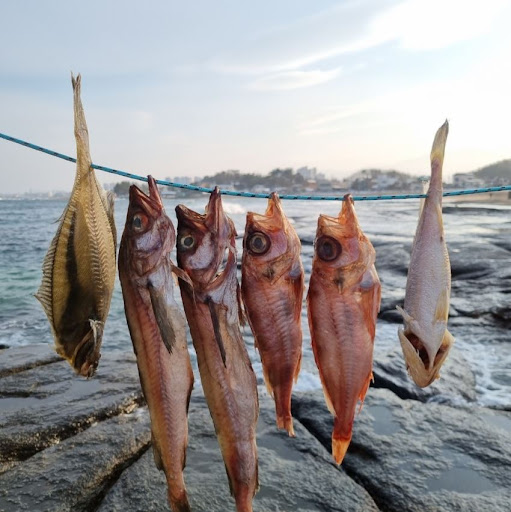 국산 반건조생선의 최고 품질, 속초사이버장터에서 찾기