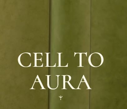 주식회사 니어스의 도장부스 브랜드 스토리와 제작 기준 연결
